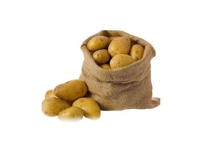 Turkish Jumbo Potatoes for Kumpir / Baked Potato | Large Caliber | Export Ready