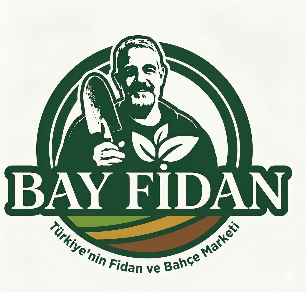 Bay Fidan