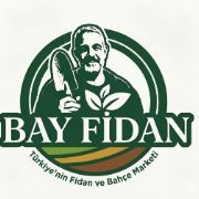 Bay Fidan
